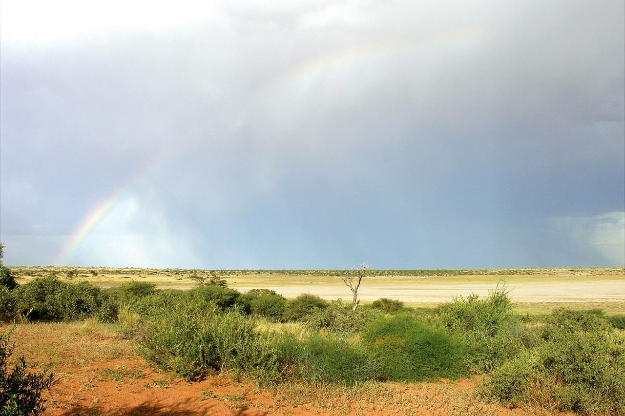 Kgalagadi