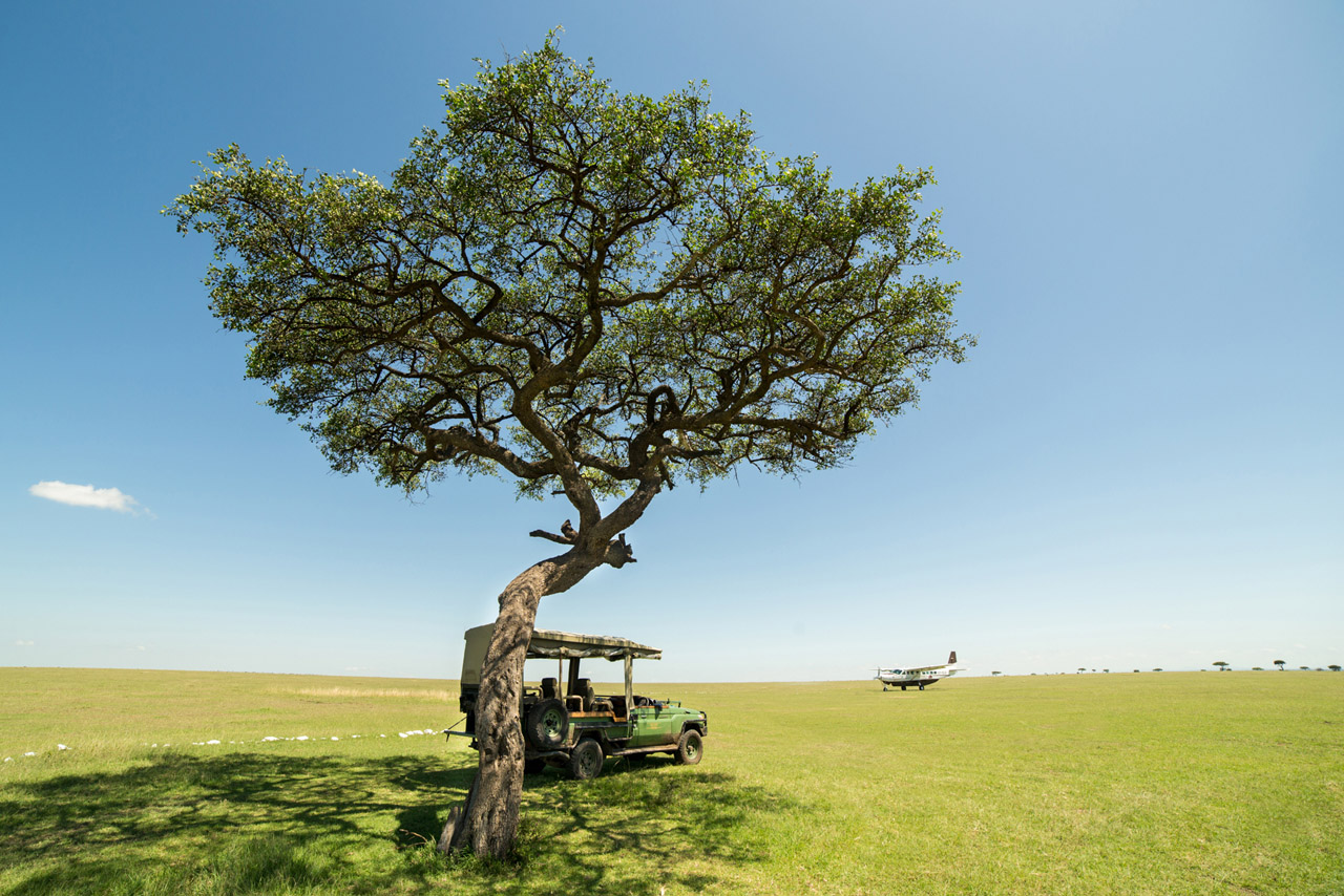 Mara Plains Camp