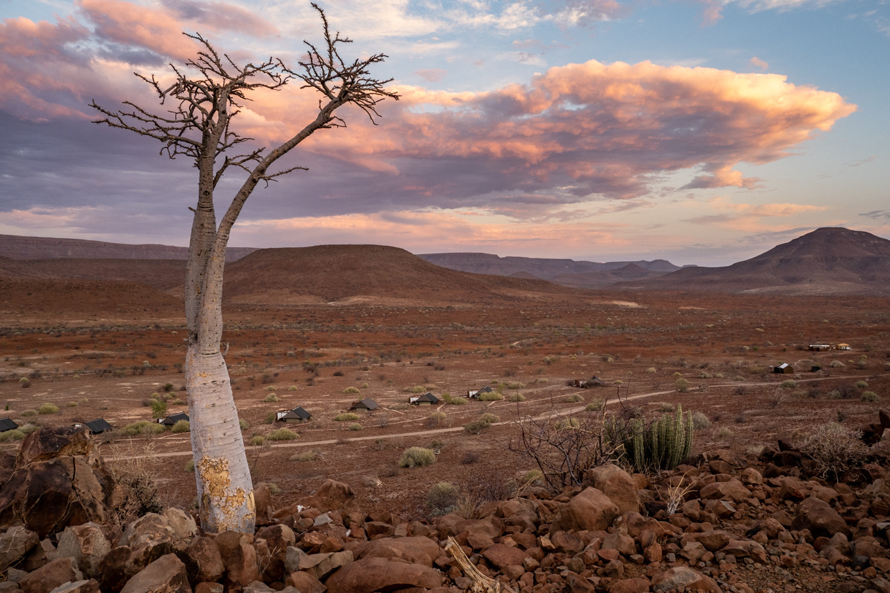 Etendeka Mountain Camp