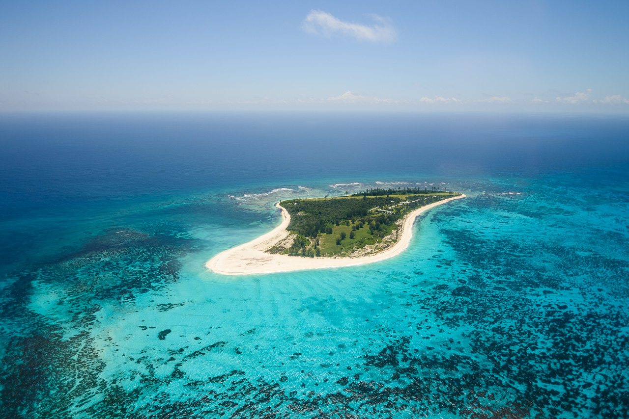 Bird Island