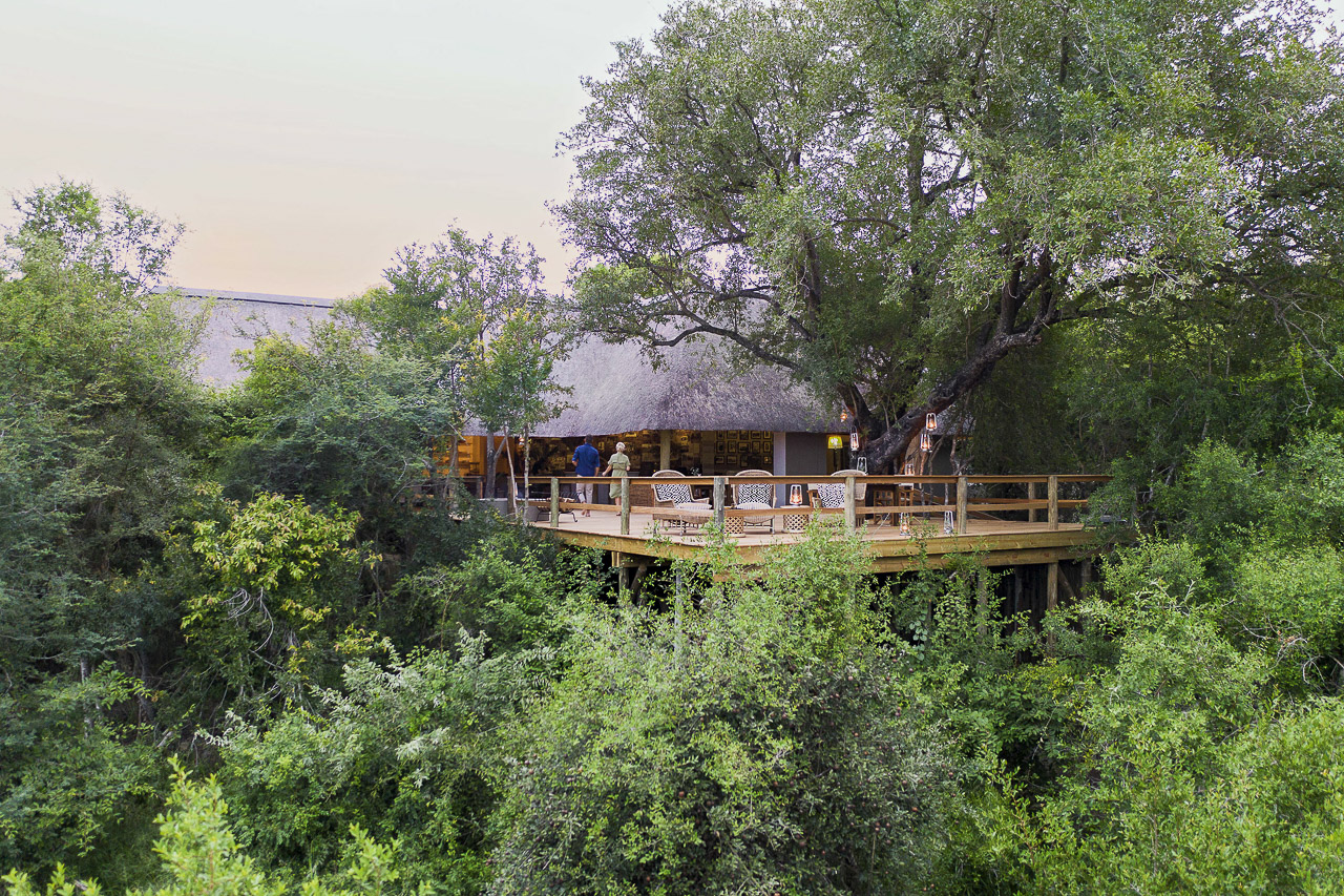 Londolozi Pioneer Camp