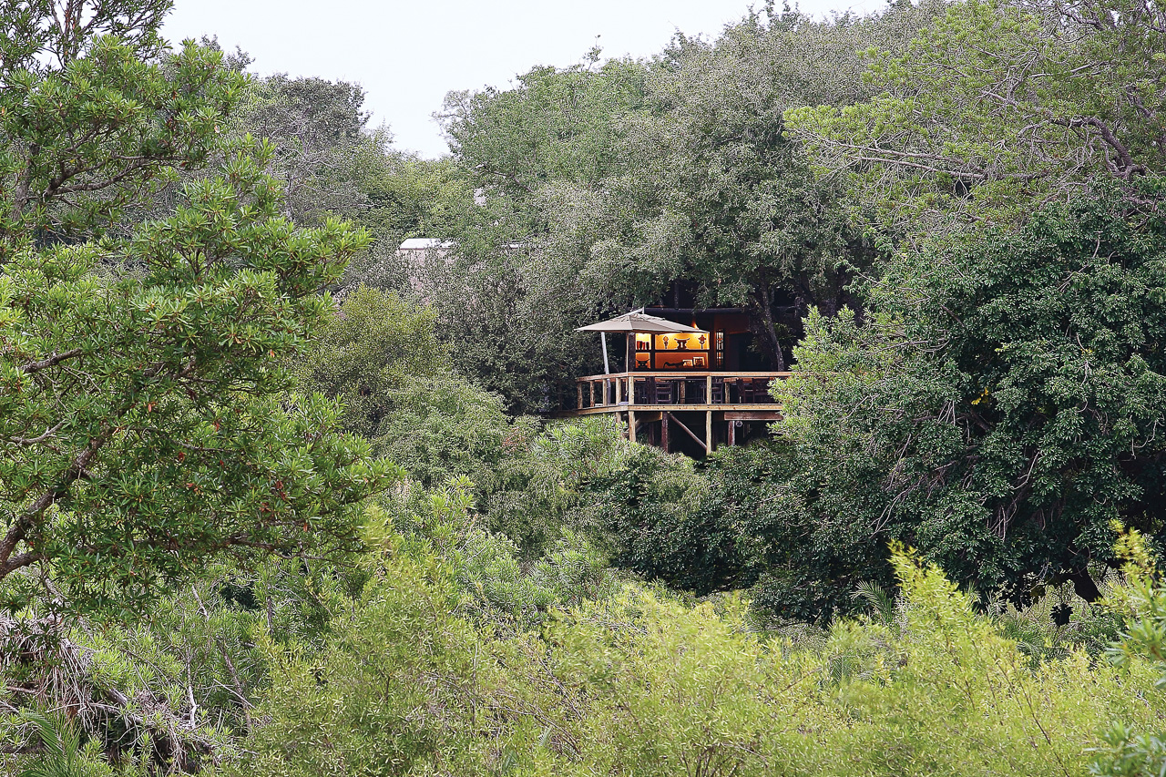 Londolozi Tree Camp