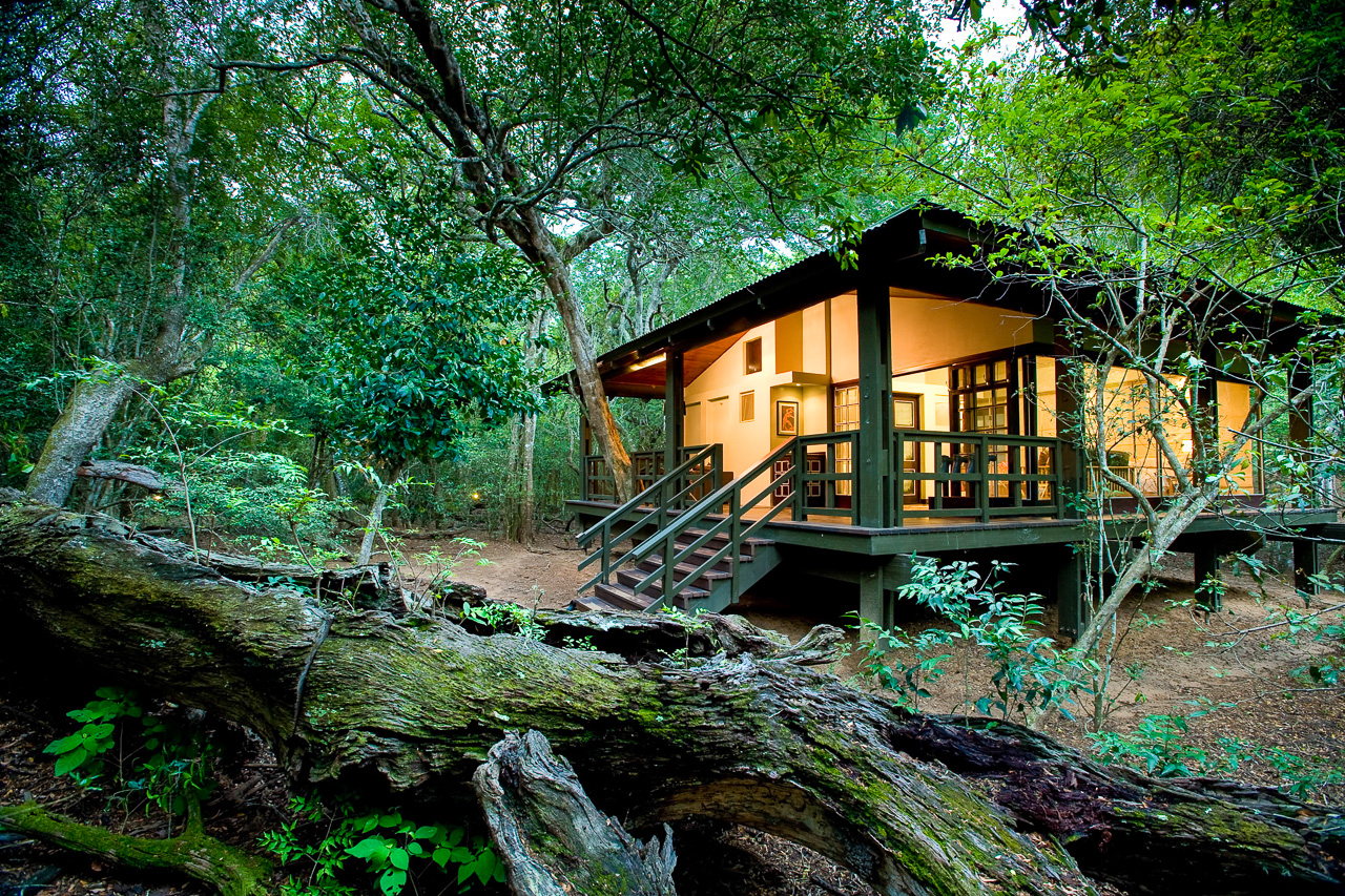 Phinda Forest Lodge