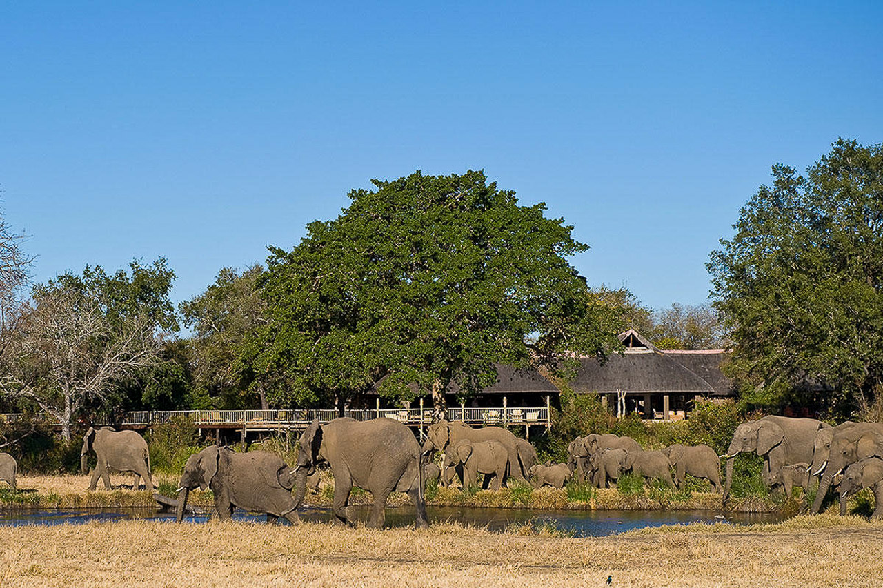 Sabi Sabi Bush Lodge