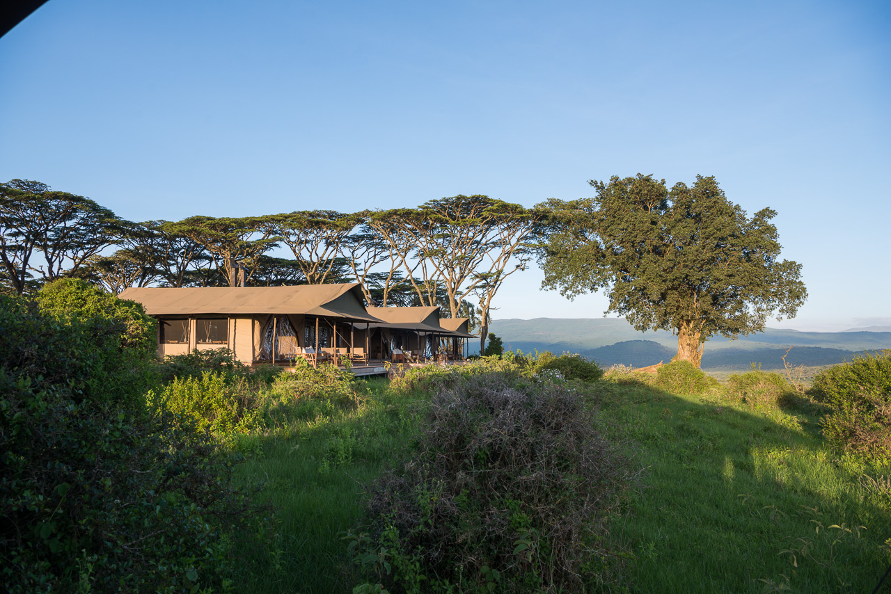 Entamanu Ngorongoro