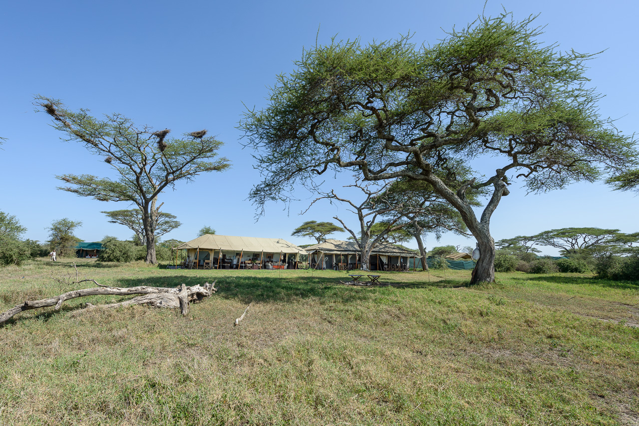 Lemala Ndutu / Mara Camp