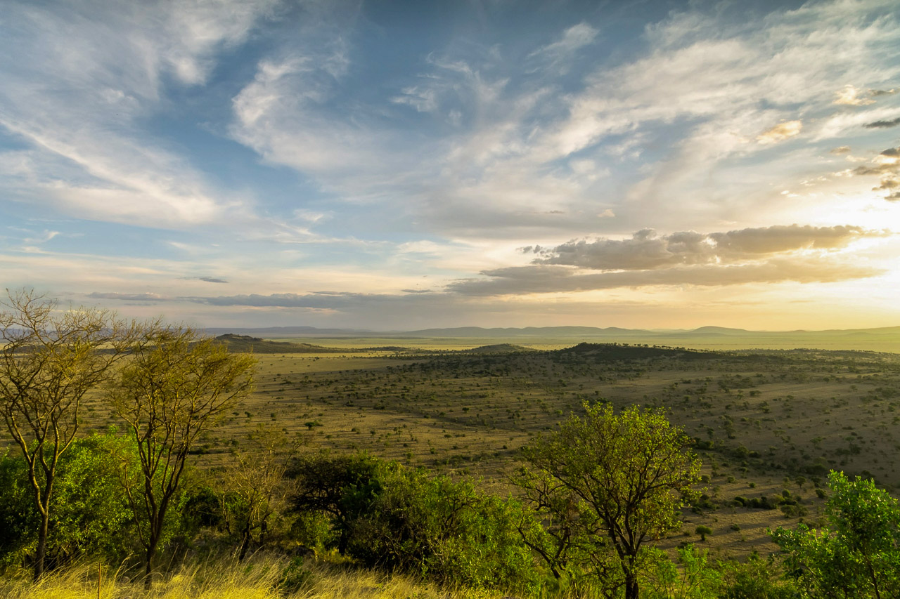 Singita Milele