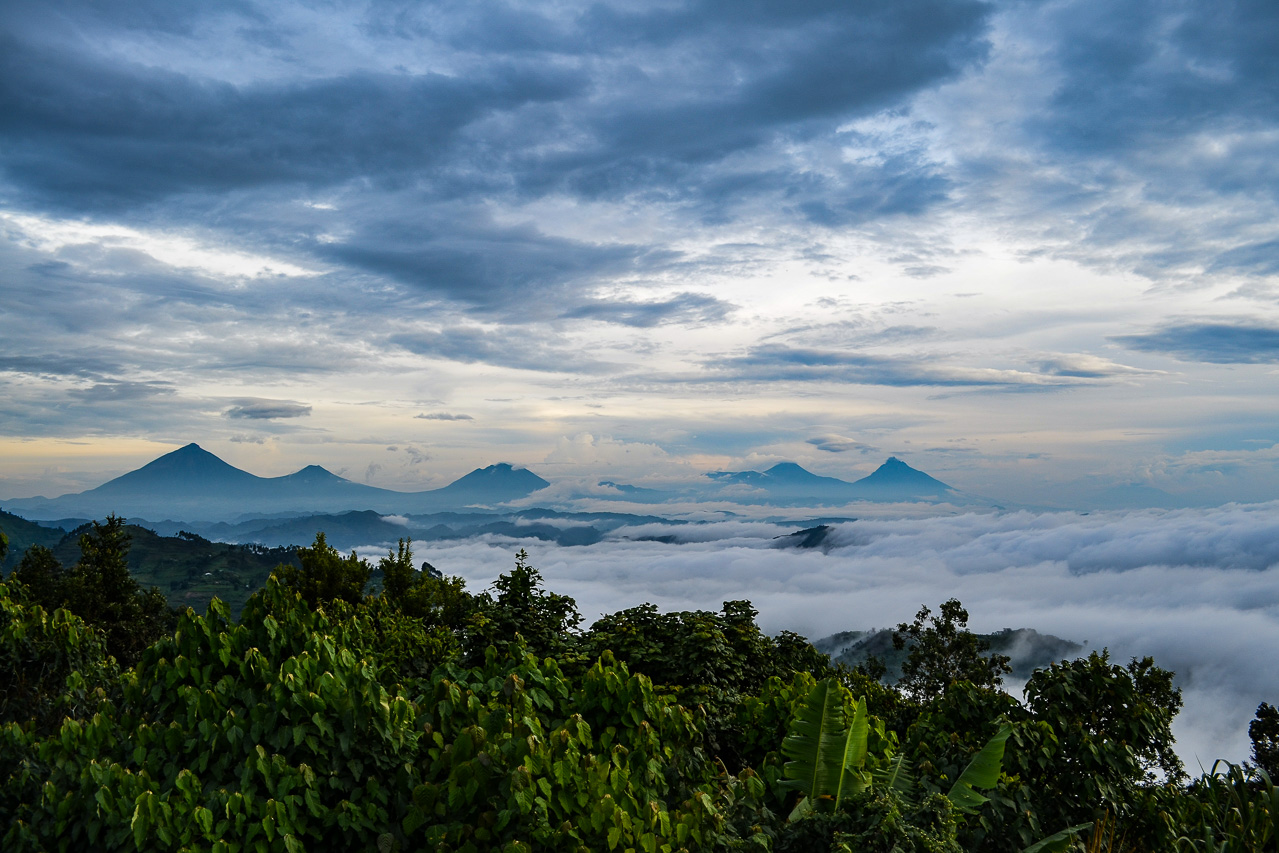 Clouds Mountain Gorilla Lodge