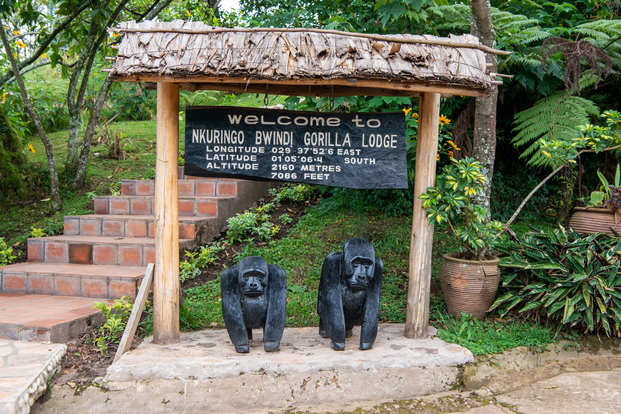 Nkuringo Bwindi Gorilla Lodge