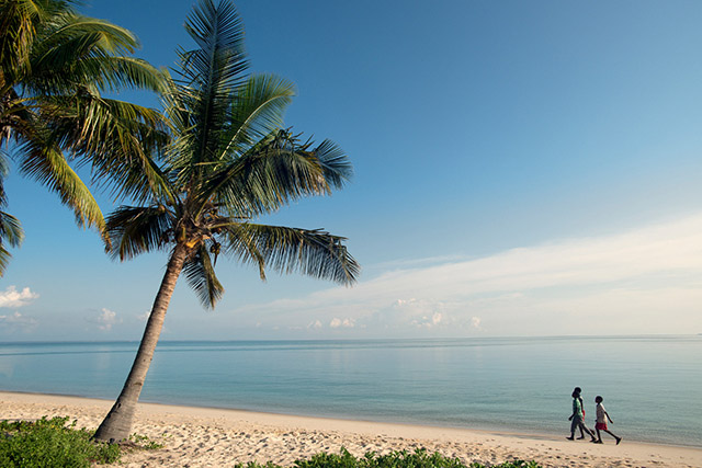 Discover our trips