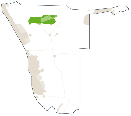 Karte/Map Namibia - etosha