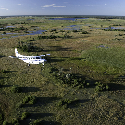 Fly-In Safaris