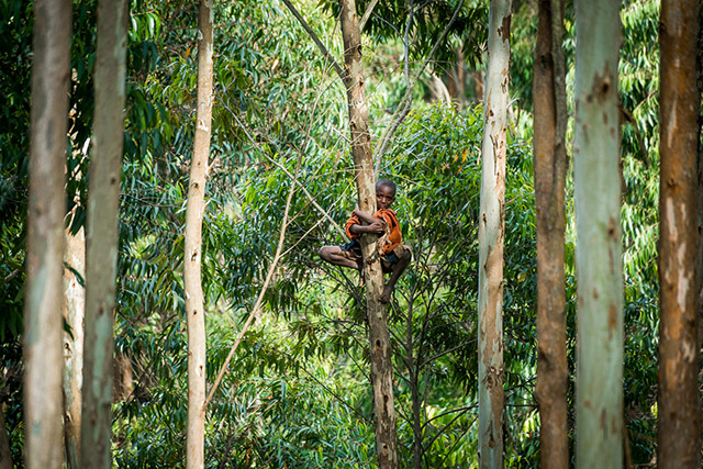 Discover our trips