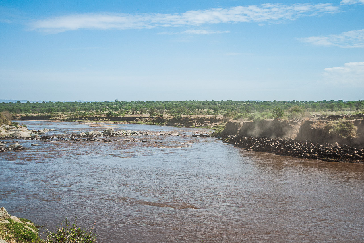 The Great Migration in Tanzania