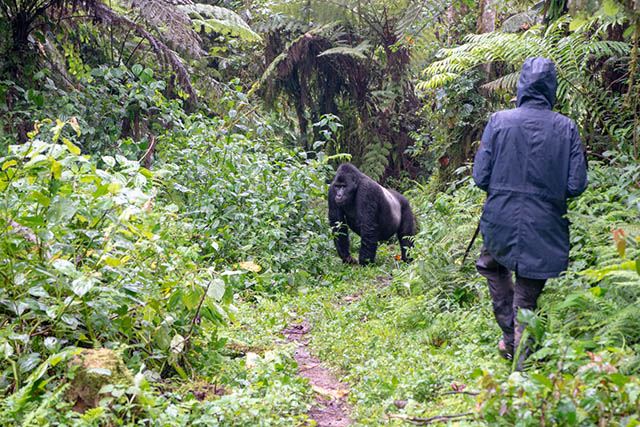 Discover our trips
